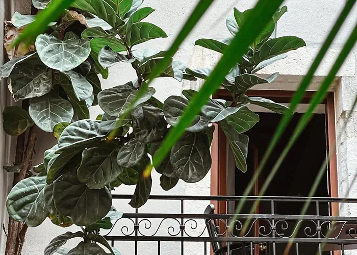 Casa Dei Delfini